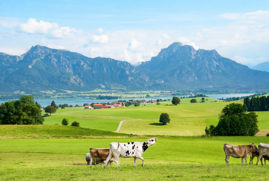Bayern Landschaft Wohnwagen